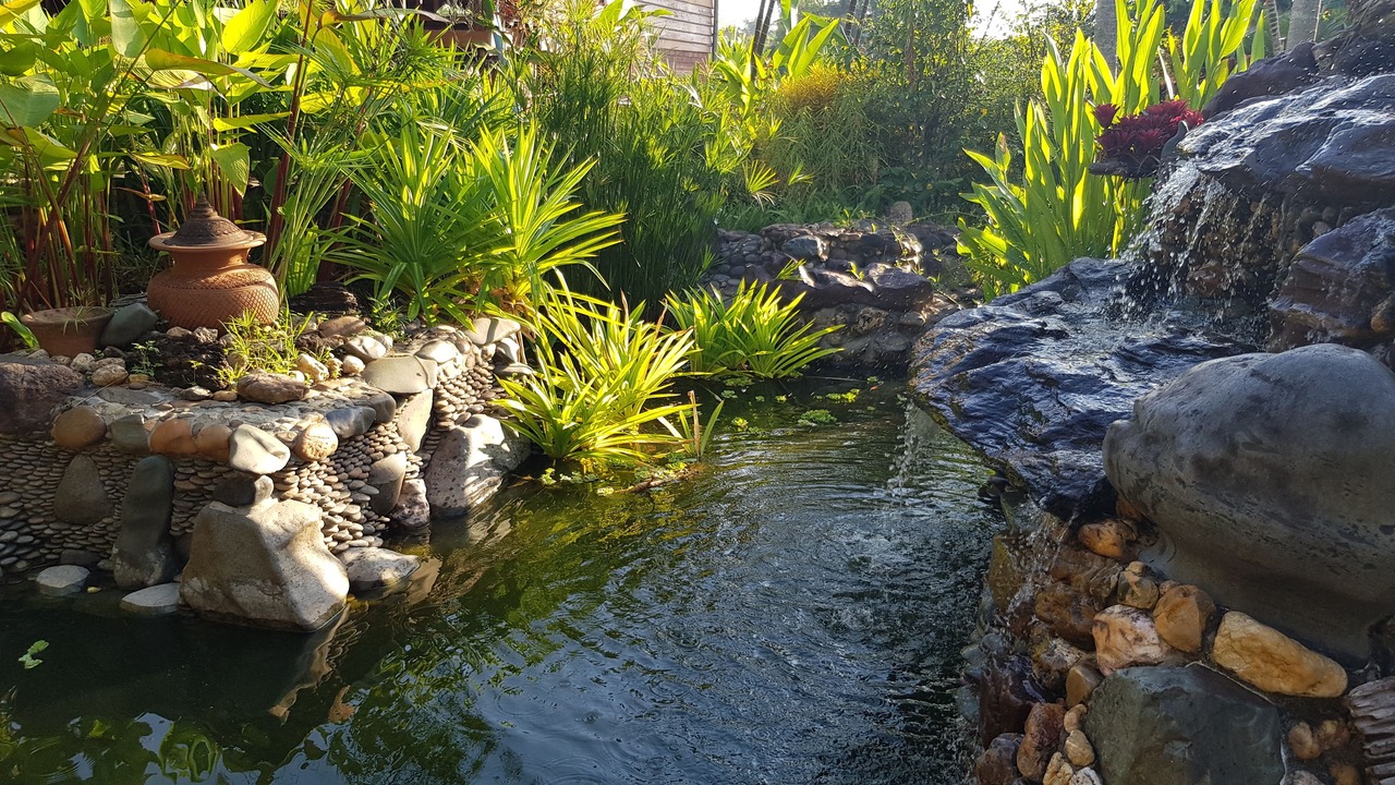 Photo of Outdoor in Chiang Khong