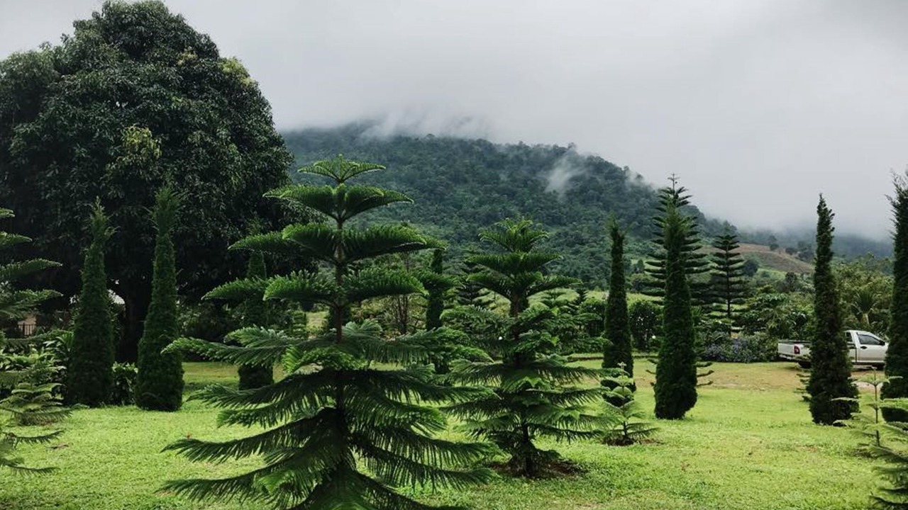 Photo of Outdoor in Phu Ruea