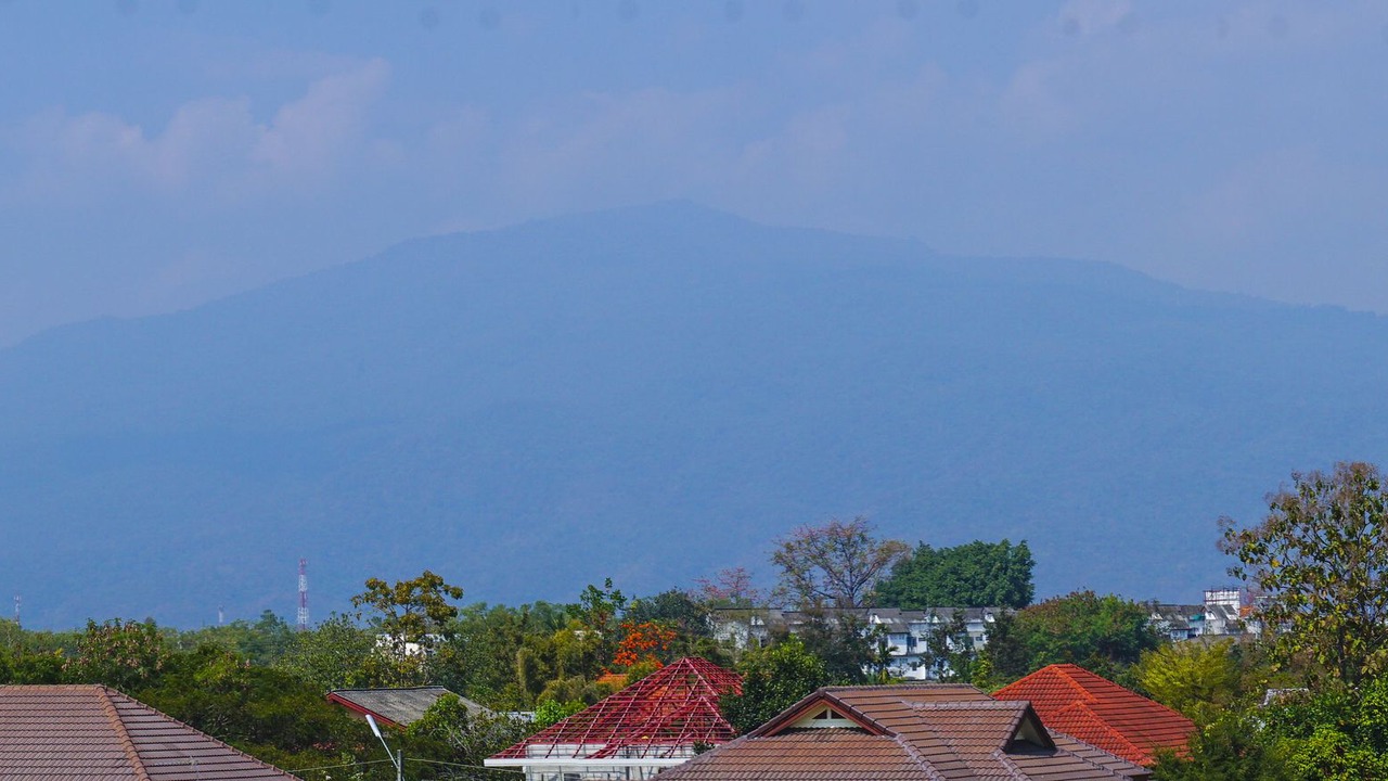 Photo of Outdoor in San Phak Wan