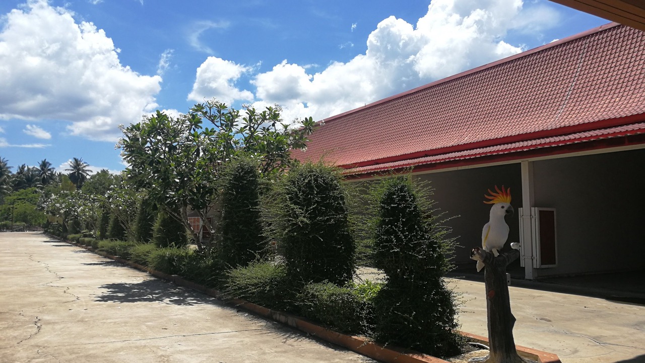 Photo of Outdoor in Damnoen Saduak