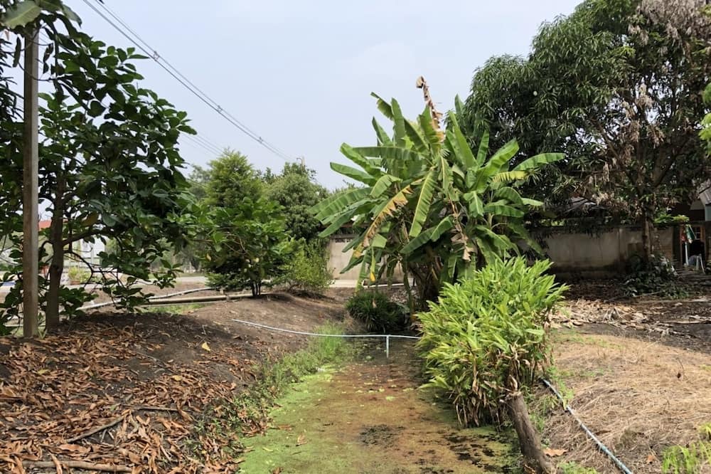 Photo of Outdoor in Damnoen Saduak