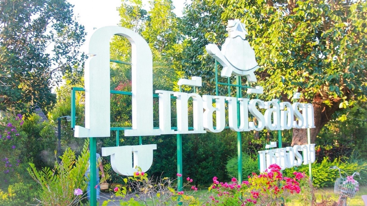 Photo of Outdoor in Chiang Rai