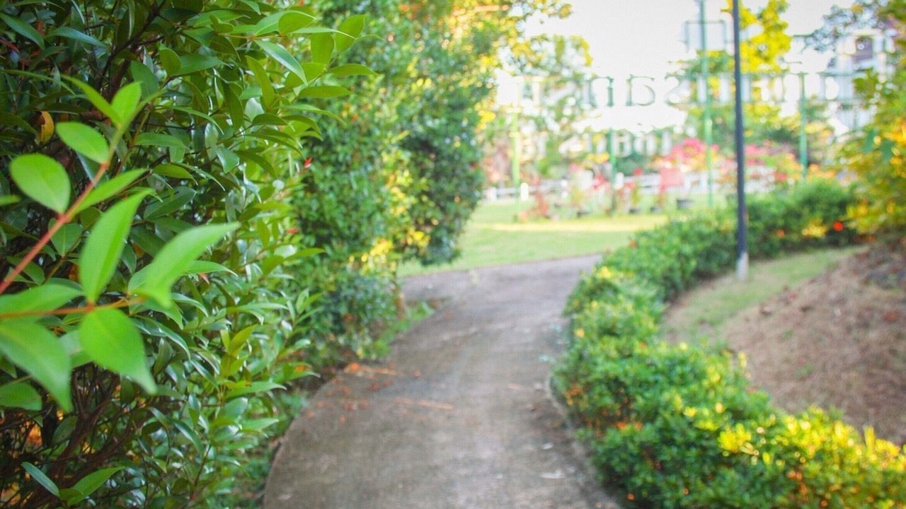Photo of Outdoor in Chiang Rai