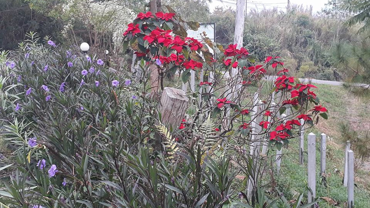 Photo of Outdoor in Khao Kho
