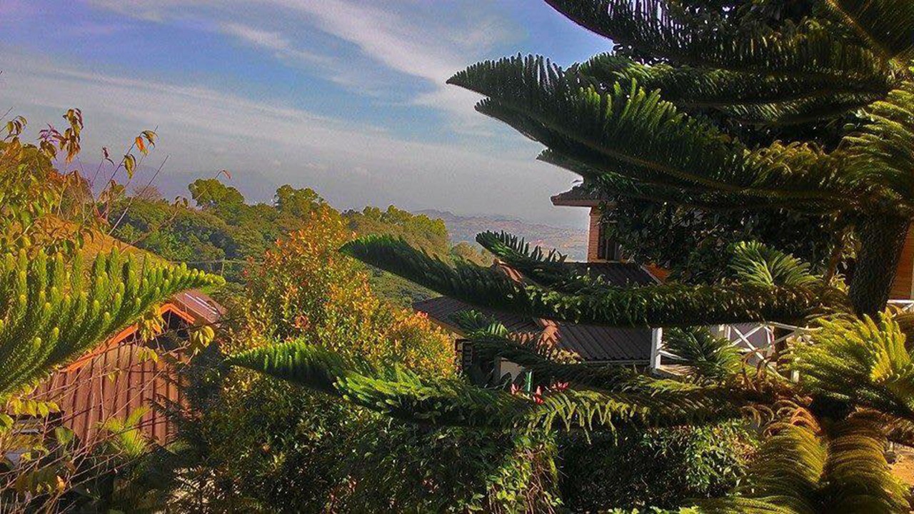 Photo of Others in Khao Kho