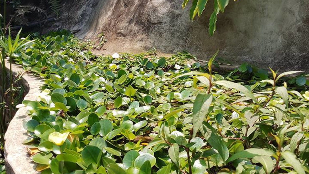 Photo of Outdoor in Khao Kho