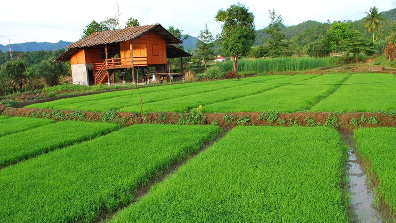 Photo of Outdoor in Mae La Noi
