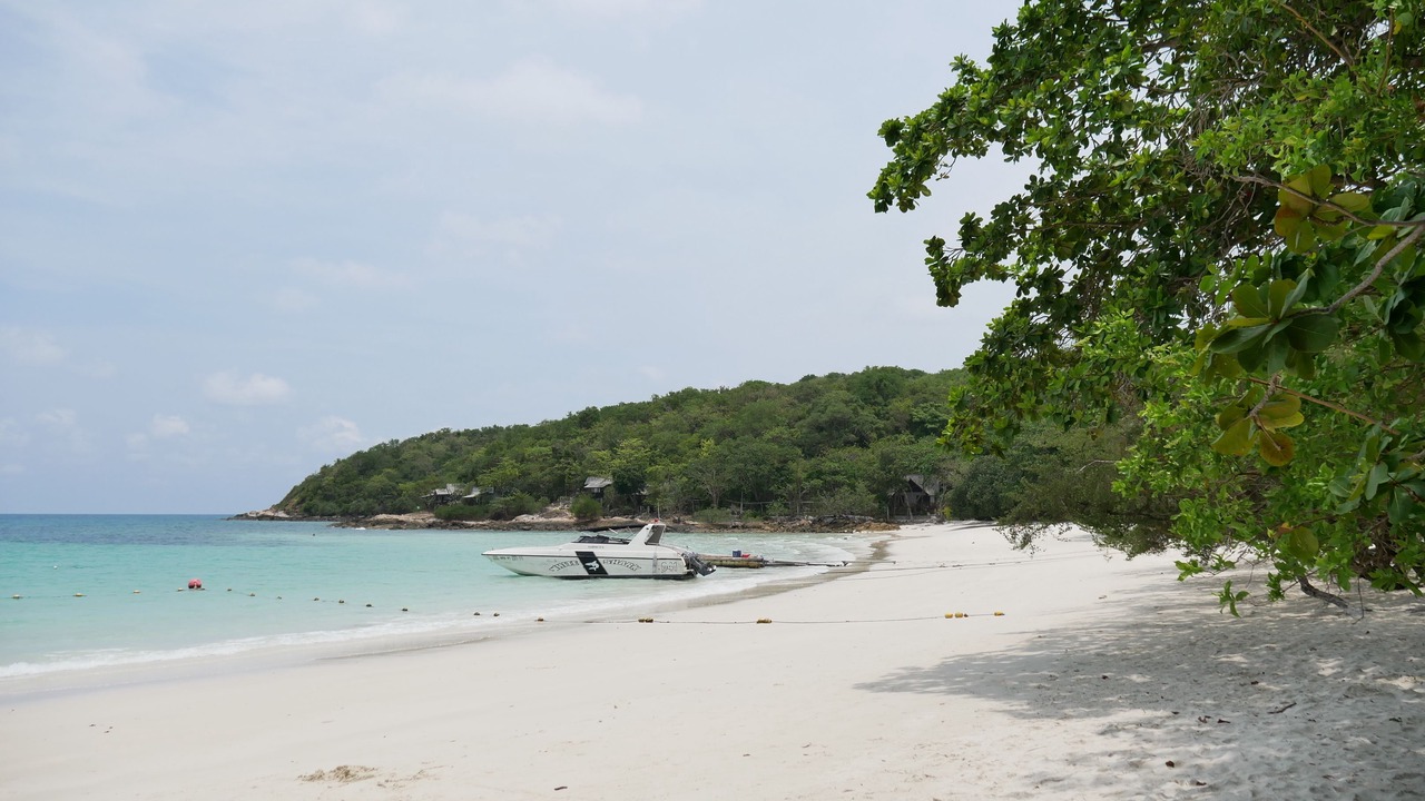 Photo of Others in Rayong
