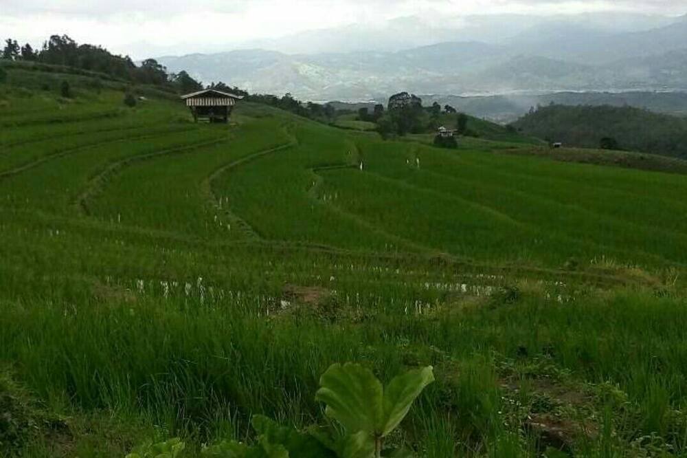 Photo of Others in Mae Chaem