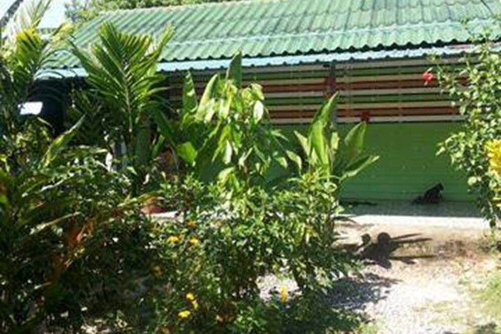 Photo of Outdoor in Thai Mueang