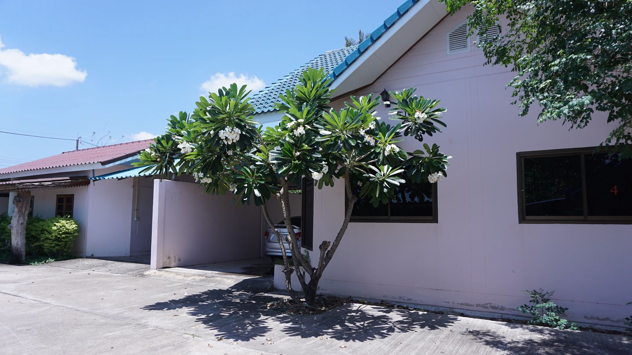 Photo of Outdoor in Kamphaeng Phet