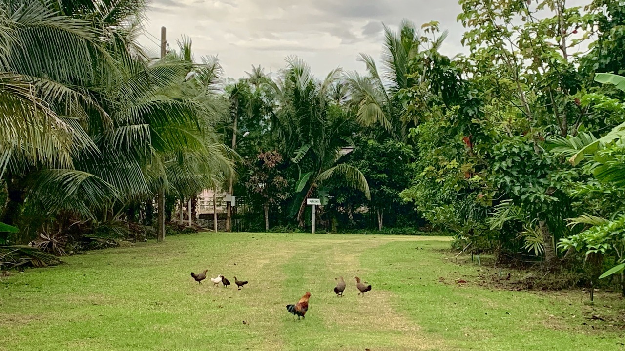 Photo of Outdoor in Ban Na Faek