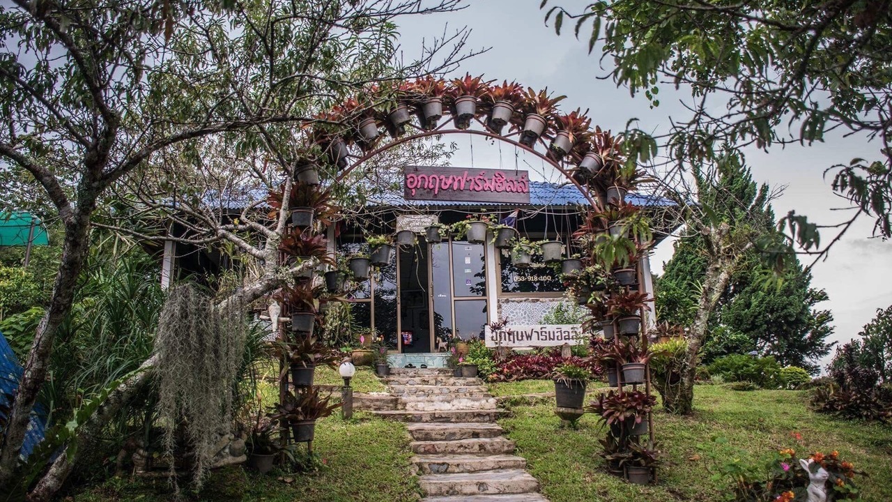 Photo of Outdoor in Tap Tao