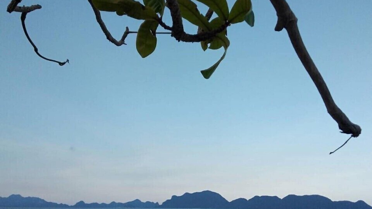 Photo of Outdoor in Pak Khlong