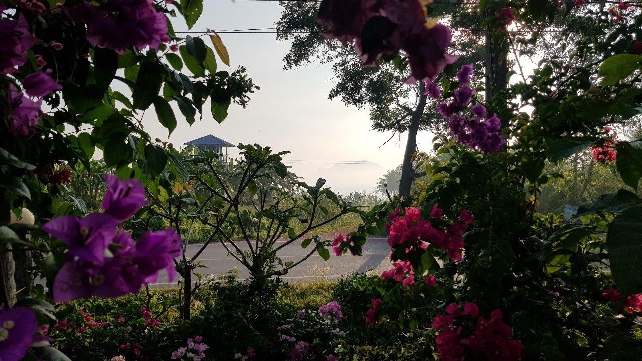 Photo of Outdoor in Pak Khlong