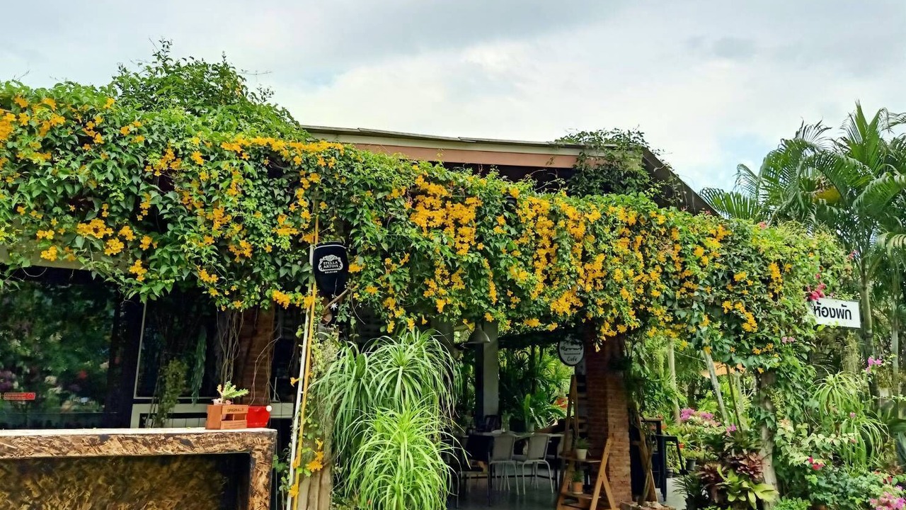 Photo of Outdoor in Pak Khlong