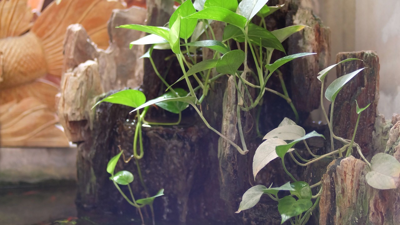 Photo of Patio Balcony in Songkhla