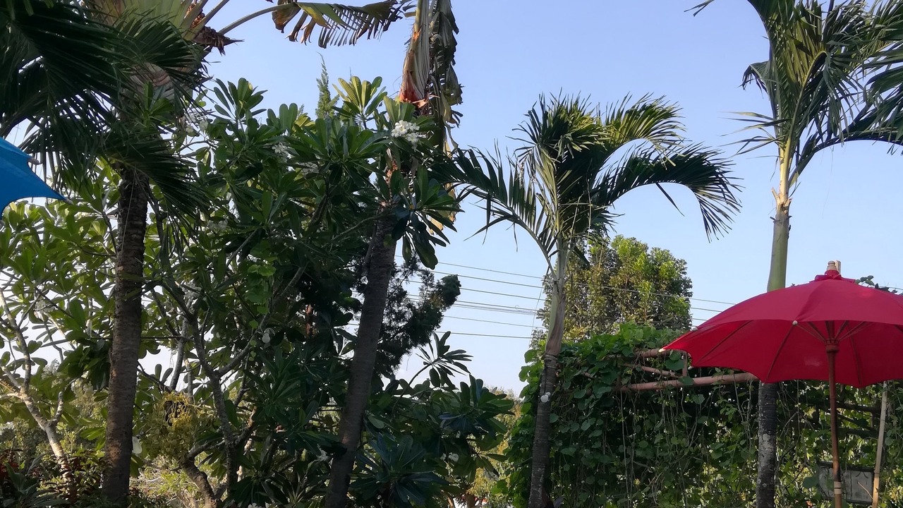 Photo of Outdoor in Saraphi