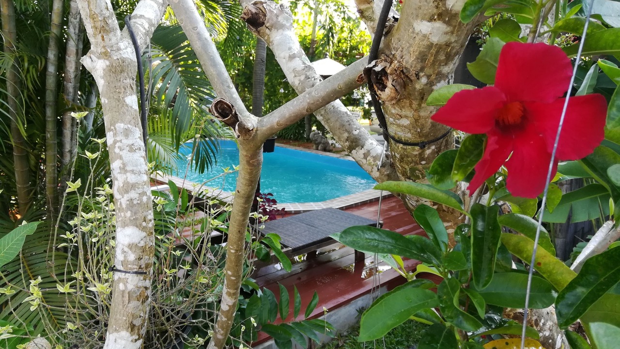 Photo of Outdoor in Saraphi