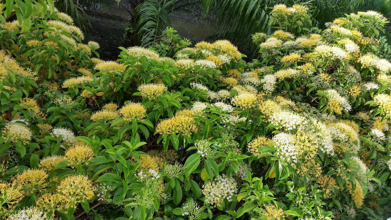 Photo of Outdoor in Khao Chaison