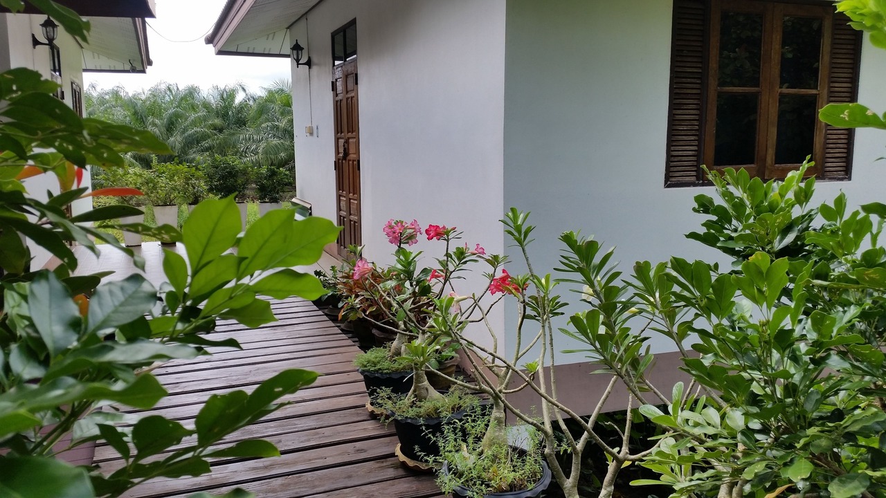 Photo of Outdoor in Khao Chaison