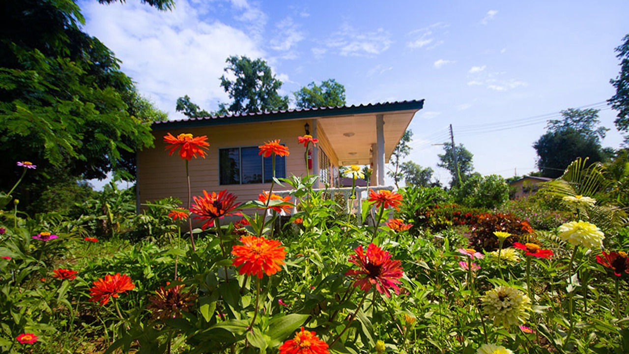 Photo of Outdoor in Nam Song