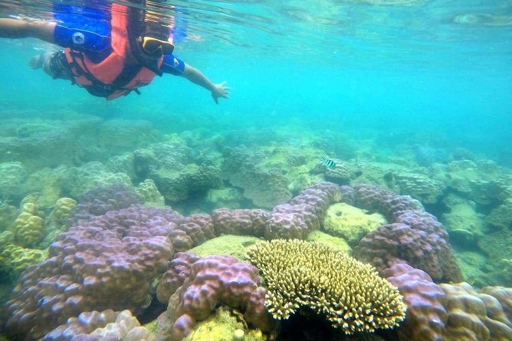 Photo of Others in Koh Chang Tai