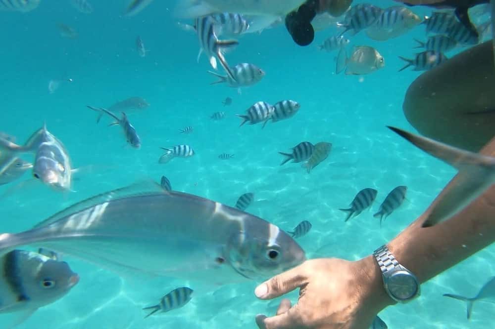 Photo of Others in Koh Chang Tai