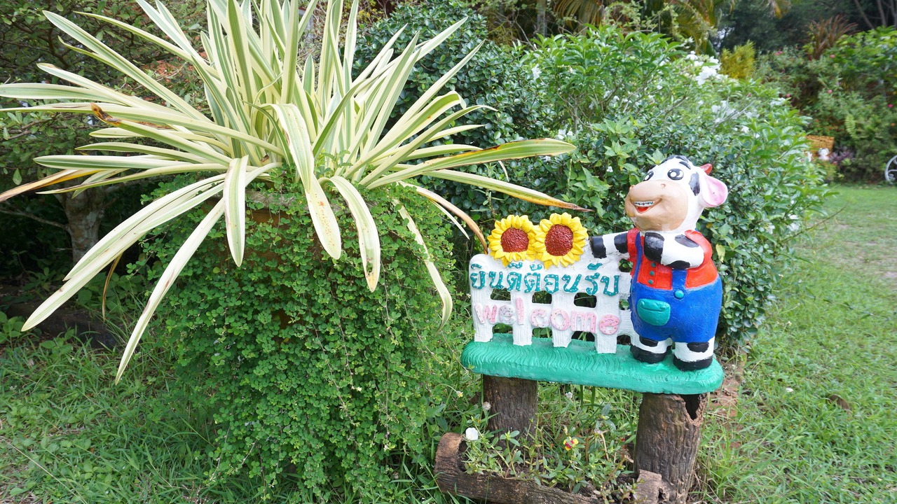 Photo of Outdoor in Chumphon