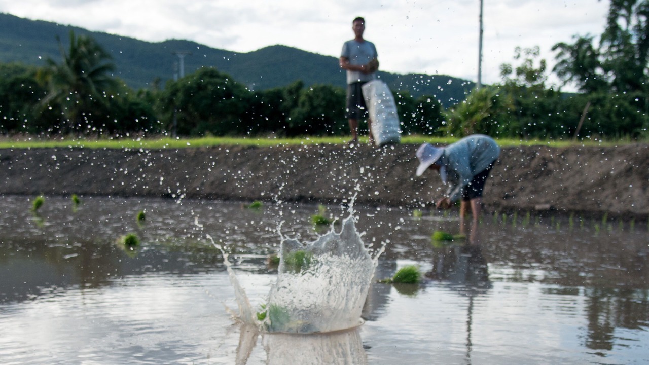 Photo of Others in Ban Luang
