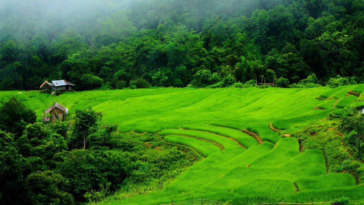 Photo of Outdoor in Ban Luang