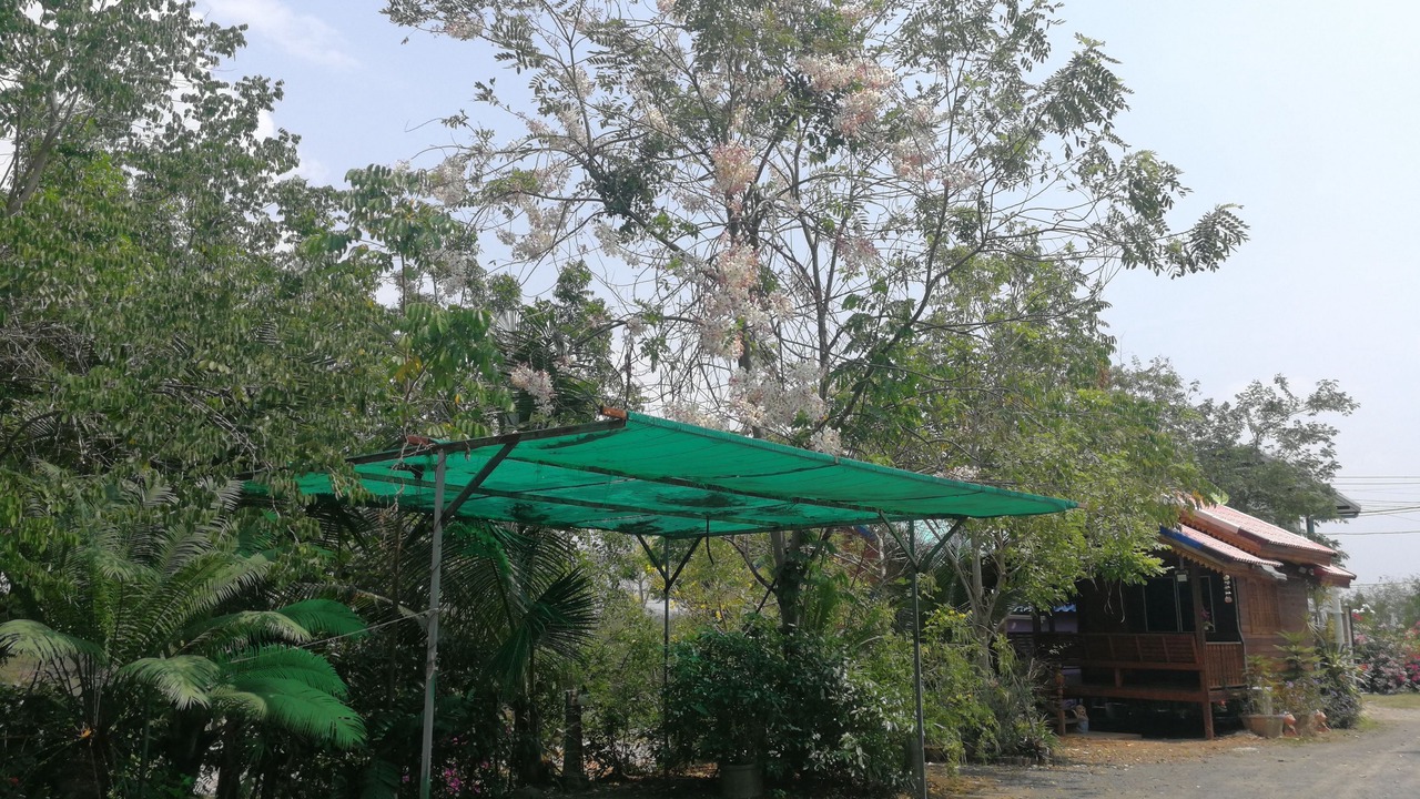 Photo of Others in Phatthana Nikhom