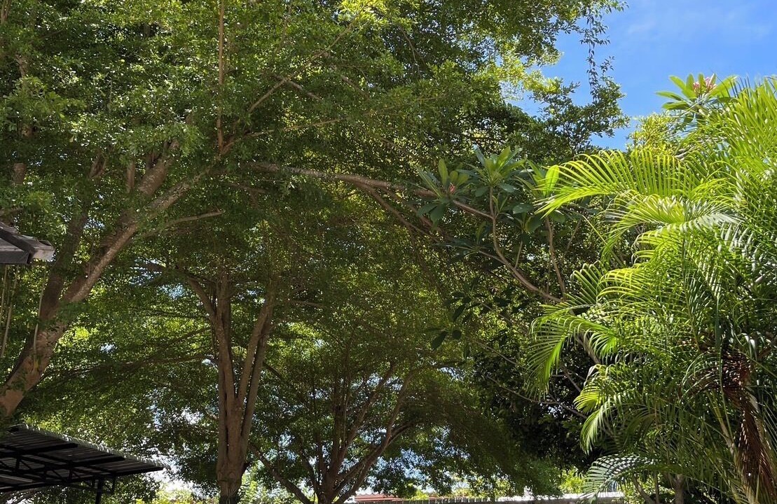 Photo of Outdoor in Nong Bua