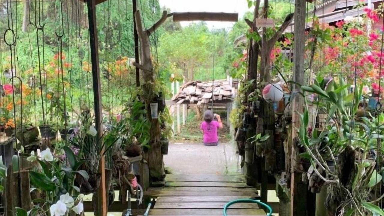 Photo of Outdoor in Pak Kret