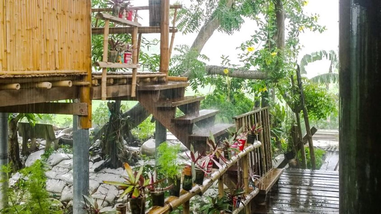 Photo of Outdoor in Pak Kret