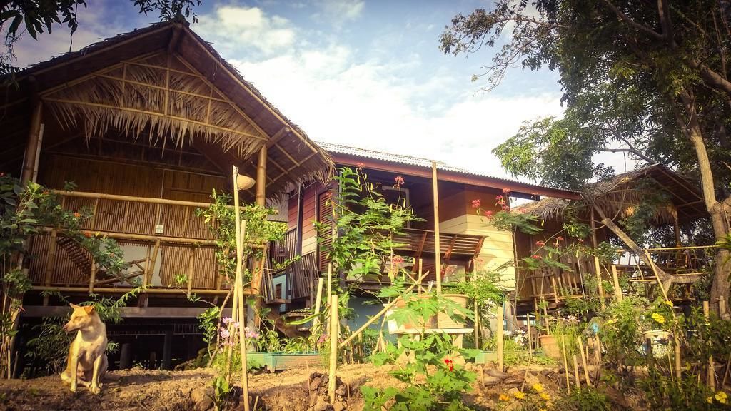 Photo of Outdoor in Pak Kret