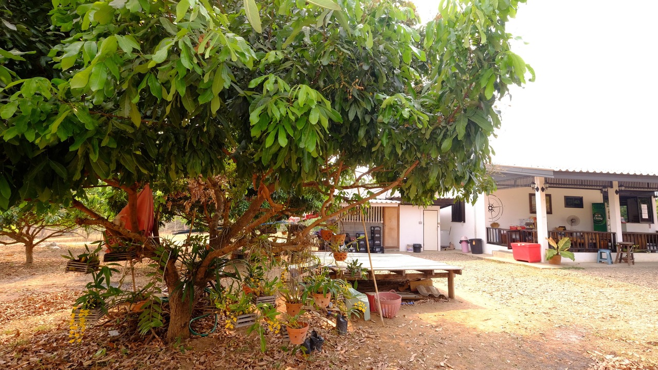 Photo of Outdoor in Mae Sariang