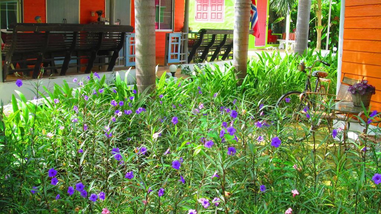 Photo of Outdoor in Doem Bang