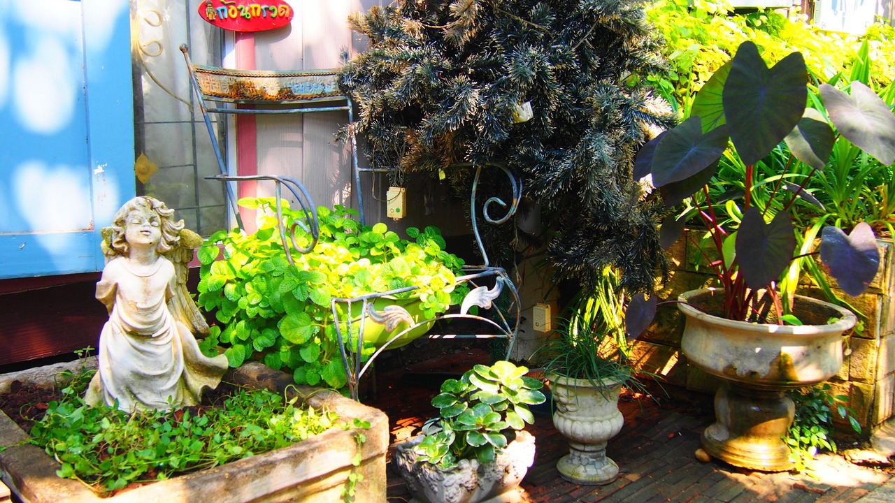Photo of Outdoor in Doem Bang