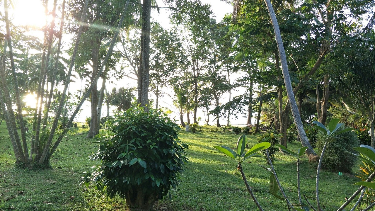 Photo of Outdoor in Palian