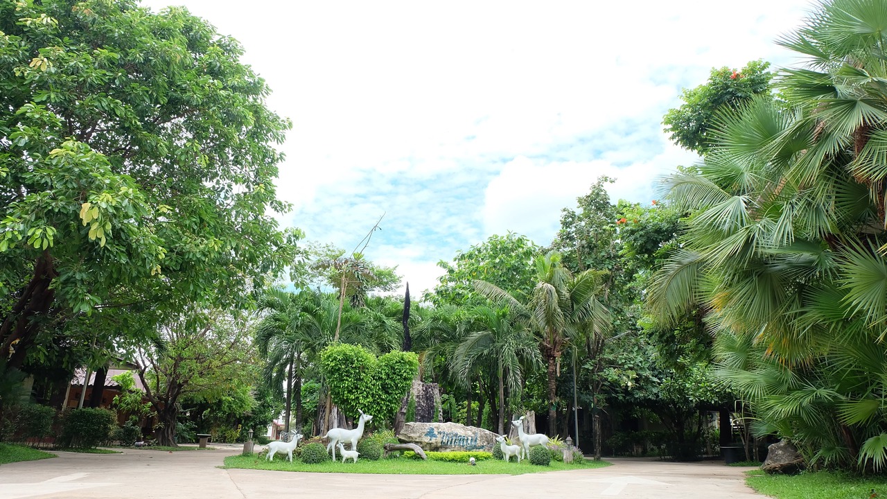 Photo of Outdoor in Kamphaeng Phet