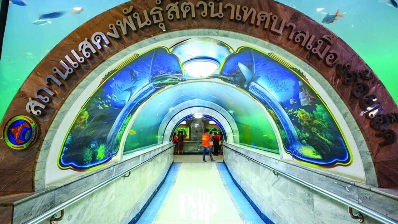 Photo of Others in Nuea Mueang