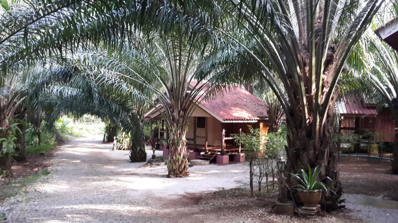 Photo of Outdoor in Yan Yao