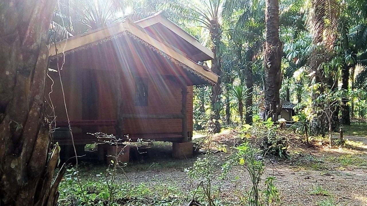 Photo of Outdoor in Yan Yao