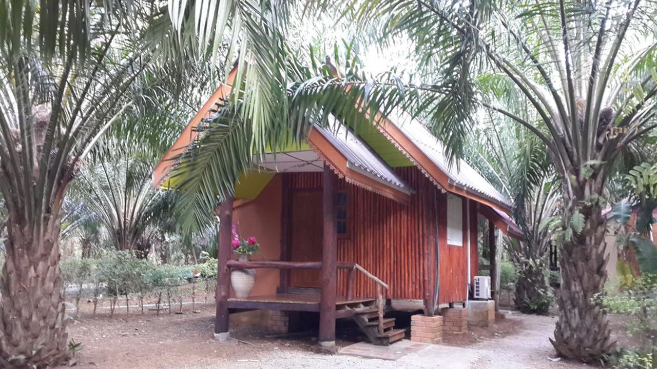 Photo of Outdoor in Yan Yao