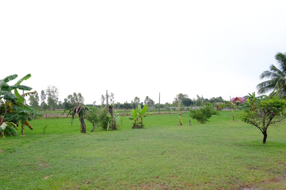 Photo of Others in Phang Khon