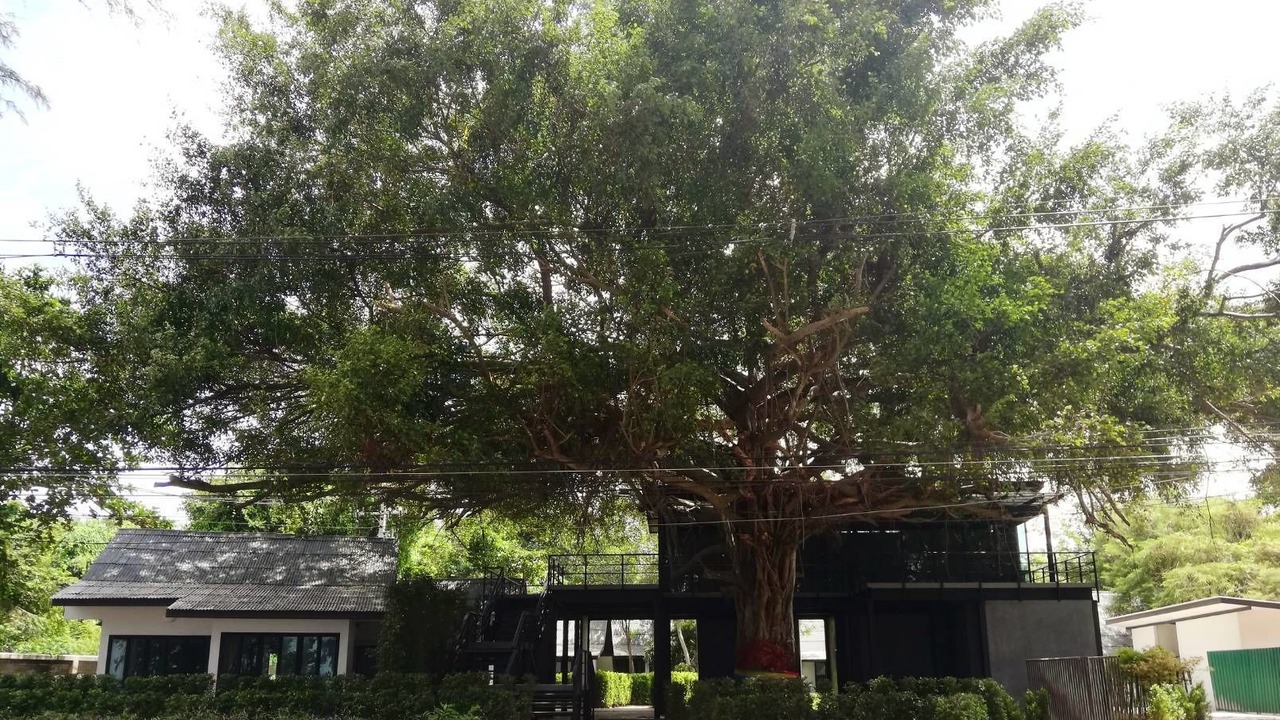 Photo of Outdoor in Rayong