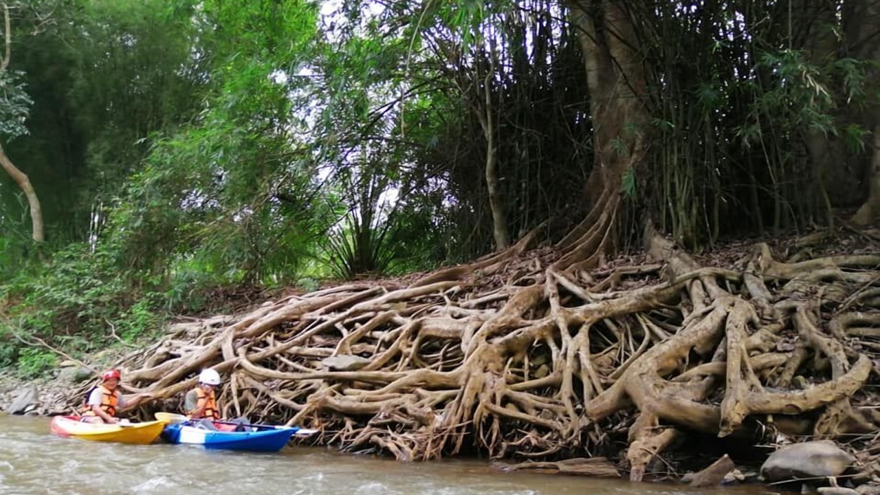 Photo of Others in Chiang Khong