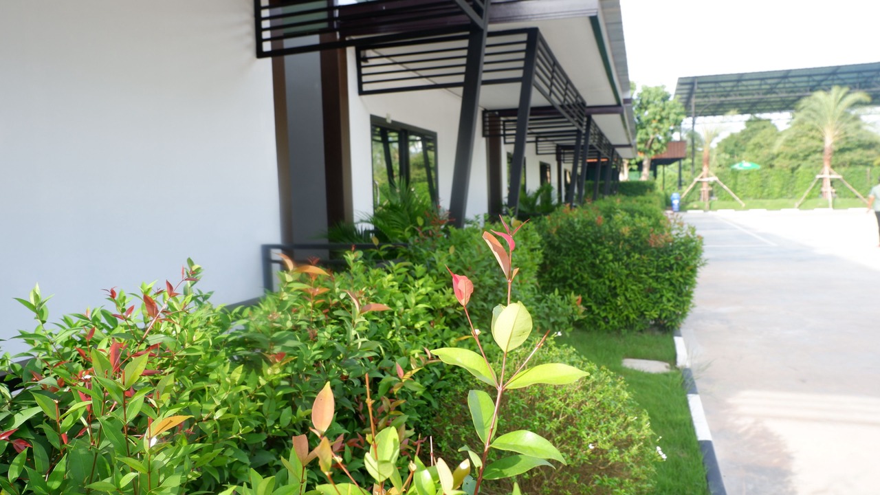 Photo of Outdoor in Thung Song