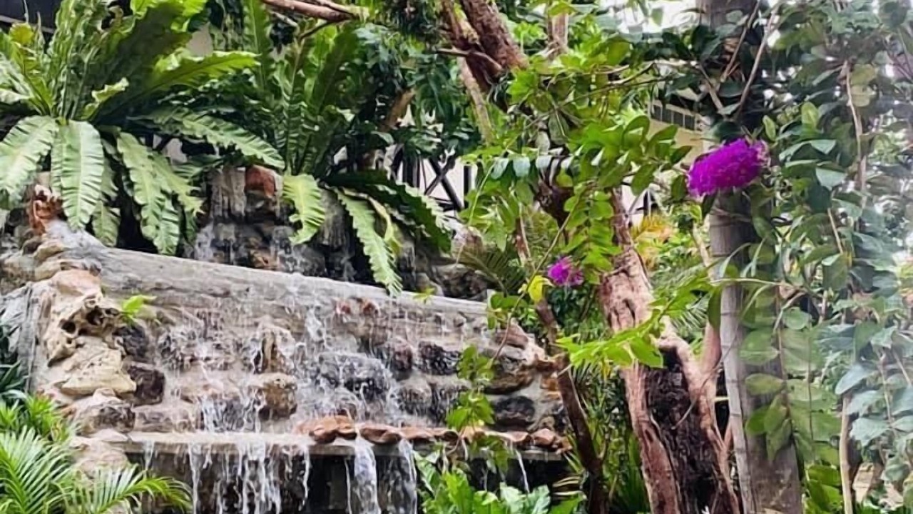 Photo of Outdoor in Mae Ramat